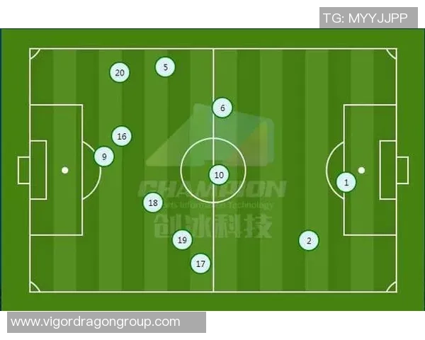 武汉排球队与成都排球队赛后复盘分析团队配合与战术执行的关键因素