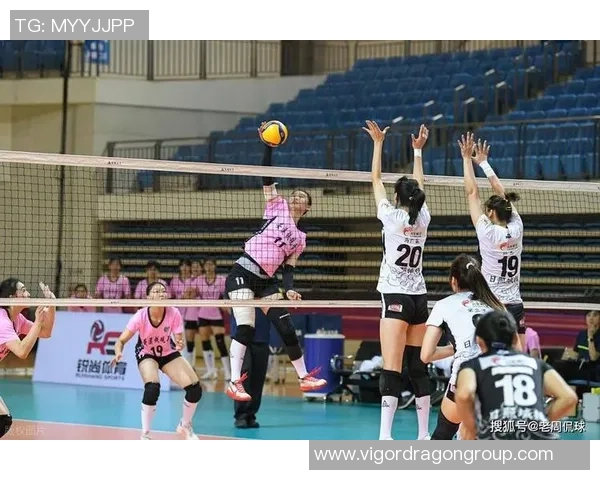 排球巨献：探秘上海排球队的力量
