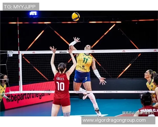 2026排球心理素质排行榜：重庆排球队位居第6名