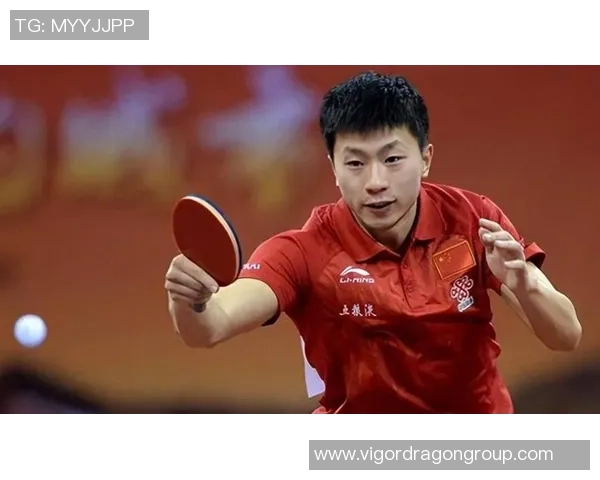 乒乓球巨献：探秘杭州乒乓球队的技术