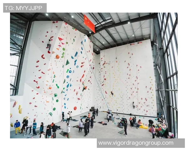 独家分析:重庆攀岩队的实力对比